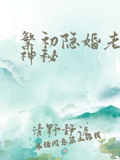 繁初隐婚老公太神秘