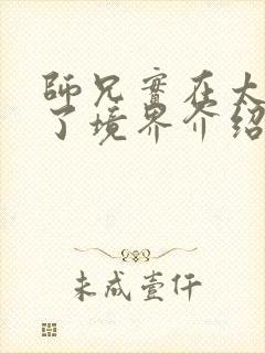 师兄实在太稳健了境界介绍