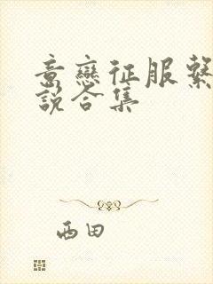 意恋征服系列小说合集