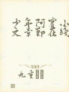 少年阿宾小说全文章节在线