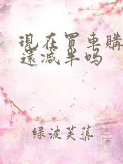 现在买车购置税还减半吗