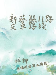 新蔡县11路公交车路线