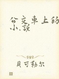 公交车上的爱爱小.说
