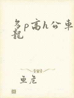 多p高h公车双龙