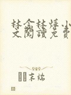 林念林烨小说全文阅读免费