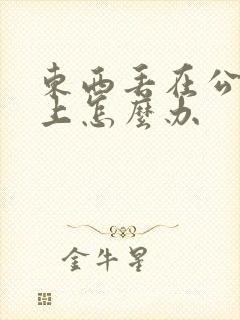 东西丢在公交车上怎么办