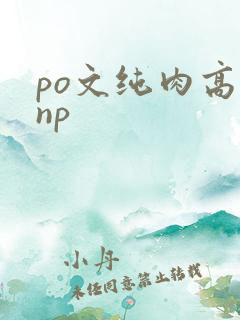 po文纯肉高hnp