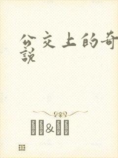 公交上的奇遇小说