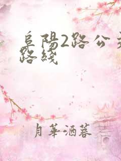 阜阳2路公交车路线