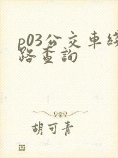 p03公交车线路查询