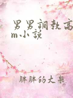 男男调教高hsm小说 男男调教高hsm小说
