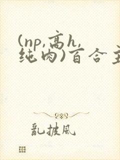 (np,高h,纯肉)百合主受gl