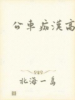 公车痴汉高h 公车痴汉高h