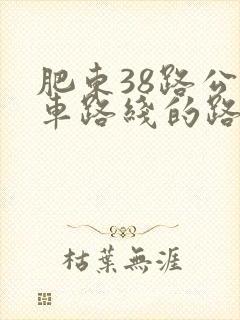肥东38路公交车路线的路线图