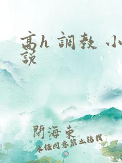 高h 调教 小说