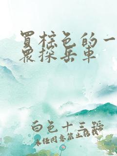 买棕色的一汽大众探岳车