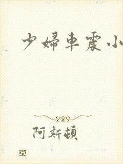 少妇车震小说