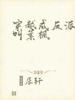 穿越成反派男主叫叶枫