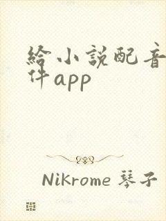 给小说配音的软件app