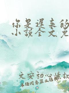 你是迟来的喜欢小说全文免费阅读