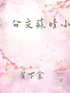 公交苏晴小说