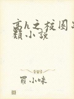 高h之校园制服类小说