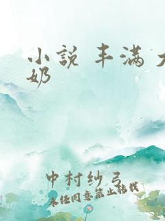 小说 丰满 大奶 小说 丰满 大奶