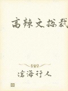 高辣文总裁