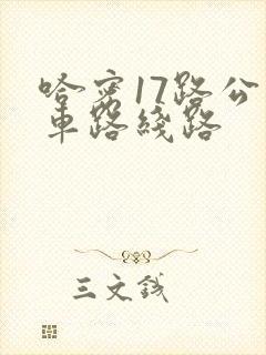 哈密17路公交车路线路