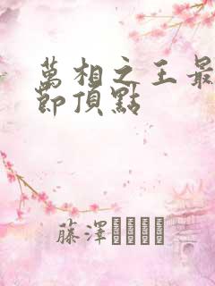 万相之王最新章节顶点