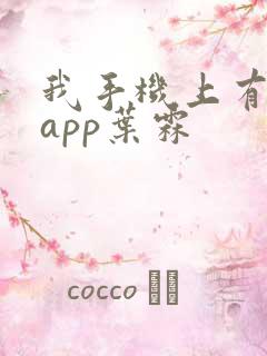 我手机上有禁忌app叶霖