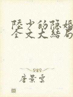 陆少的隐婚罪妻全文大结局