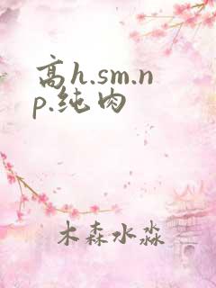 高h.sm.np.纯肉