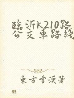 临沂k210路公交车路线图