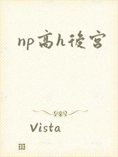 np高h后宫