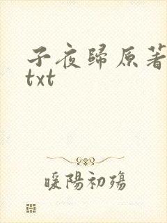 子夜归原著小说txt