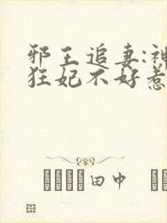 邪王追妻:神医狂妃不好惹