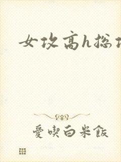 女攻高h总攻