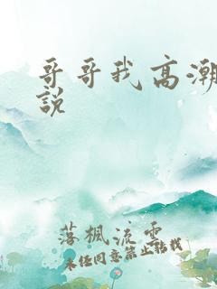哥哥我高潮了小说