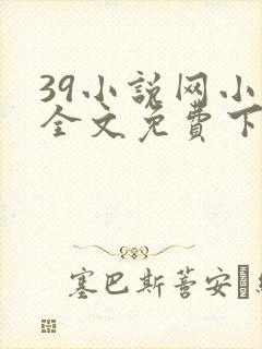 39小说网小说全文免费下载
