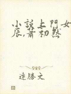 小说上门女婿叶辰,萧初然