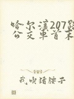 哈尔滨207路公交车首末车时间 哈尔滨207路公交车首末车时间