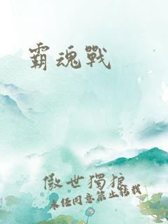 霸魂战