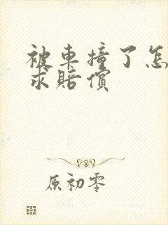被车撞了怎么要求赔偿