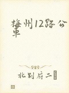 梅州12路公交车