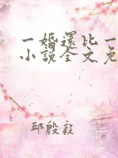 一婚还比一婚高小说全文免费阅读