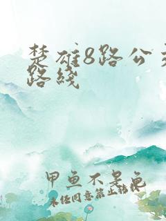楚雄8路公交车路线