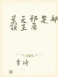 叶天邪是哪部小说主角