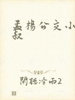孟杨公交小说孟叔