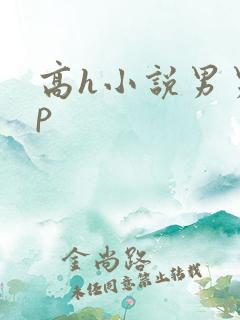 高h小说男男np
